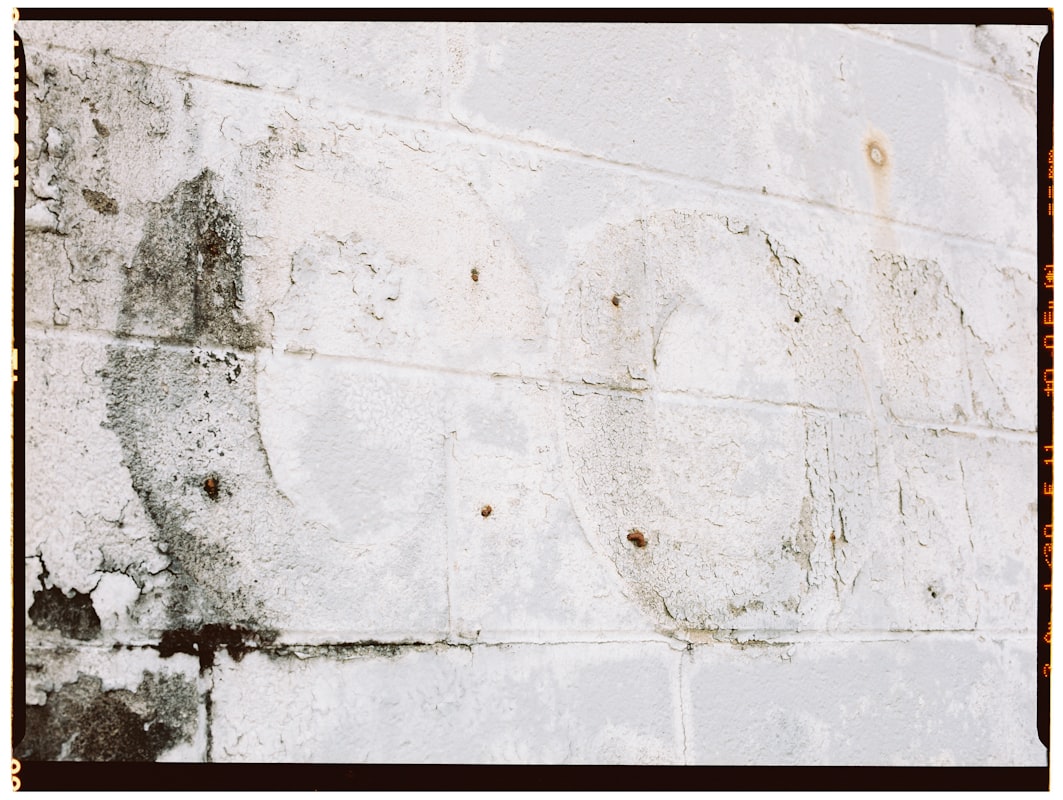 Water Extraction service in Carrollton, TX